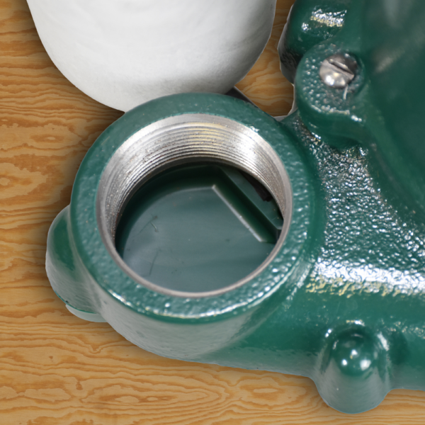 ZOELLER Automatic Sump Pump 3/10 HP, 42gpm @ 5 Ft. of Head,115V, 1Phase, Model M53, with 50 ft Cord and LED Plug - Image 3